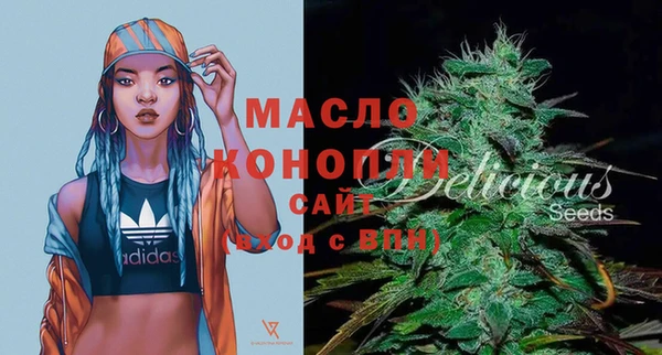 МДПВ Пересвет