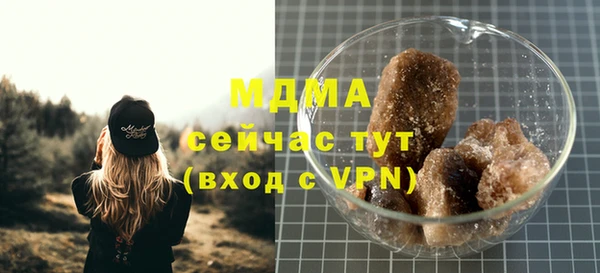 МДПВ Пересвет