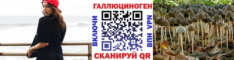 Галлюциногенные грибы мухоморы  omg зеркало  Магнитогорск 